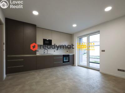 Pronájem bytu 2+KK Dubňany, Malá strana 115 č. 1