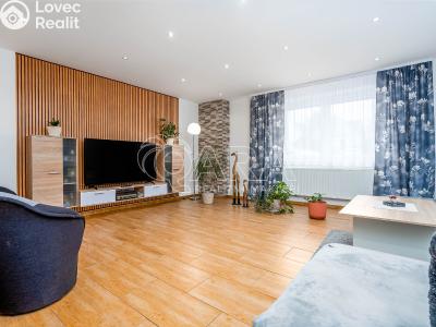 Sale family house Drahouš č. 1