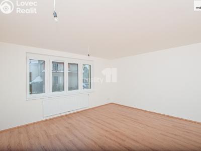 Prodej bytu 1+KK Liberec, Tovární č. 3