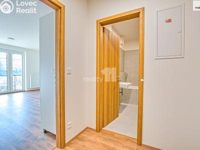 Prodej bytu 1+KK Liberec, Tovární č. 4