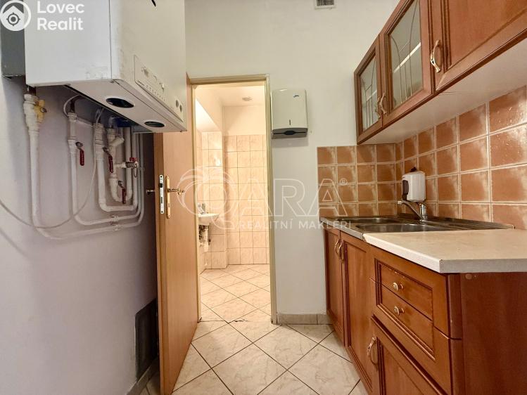 Rent commercial space Nový Jičín, Dolní brána č. 14