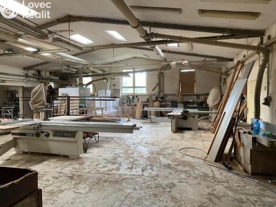 Pronájem výrobní haly Poděbrady č. 5