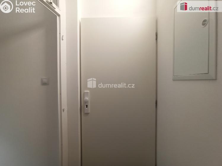 Pronájem bytu 2+1 Karlovy Vary, Lesní č. 14