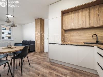 Pronájem bytu 3+KK Praha, Werichova č. 5