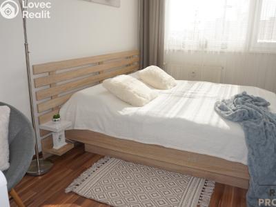 Pronájem bytu 3+1 Olomouc, Trnkova č. 3