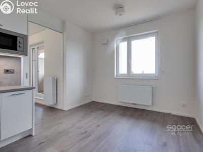 Pronájem bytu 1+KK Brandýs nad Labem-Stará Boleslav, Augustina Lukeše č. 2