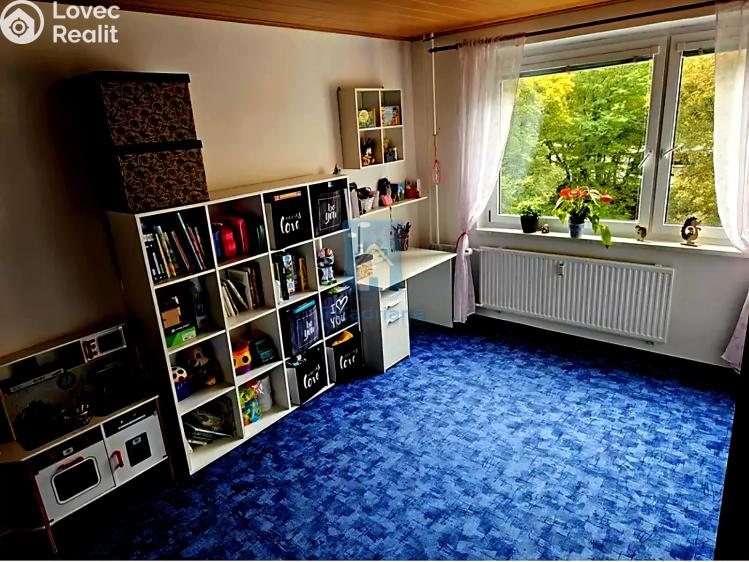 Pronájem bytu 3+1 Kraslice, Pod nádražím č. 5