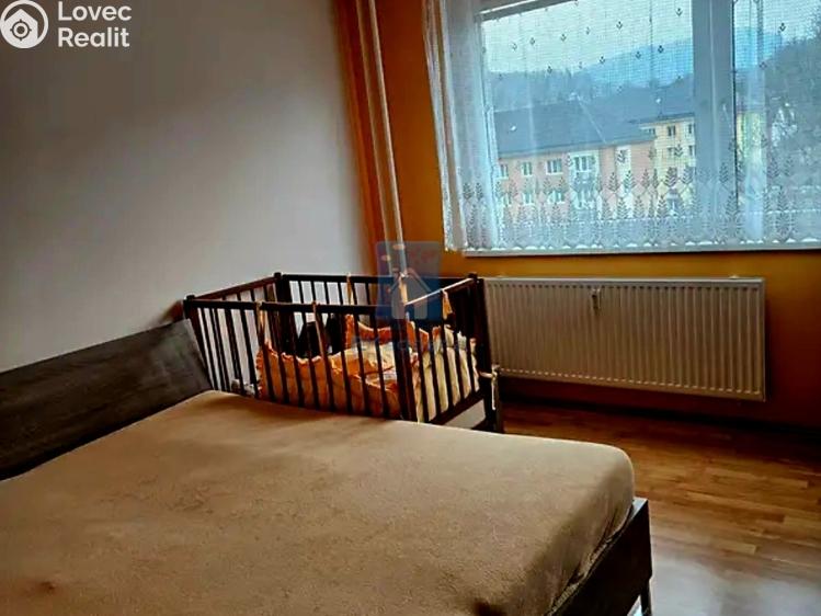 Pronájem bytu 3+1 Kraslice, Pod nádražím č. 8