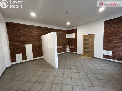 Оренда квартири 2+KK Kolín, Ovčárecká č. 1