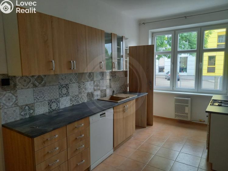 Pronájem bytu 1+1 České Budějovice, Dělnická 146/21 č. 1