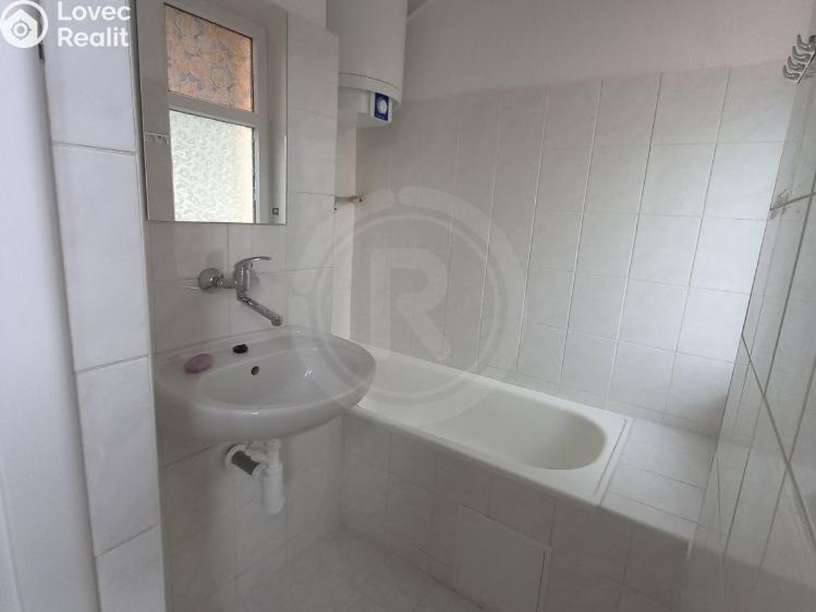 Pronájem bytu 1+1 České Budějovice, Dělnická 146/21 č. 6