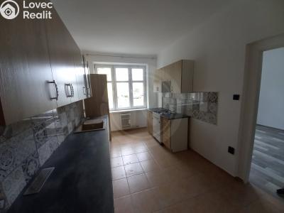 Pronájem bytu 1+1 České Budějovice, Dělnická č. 2