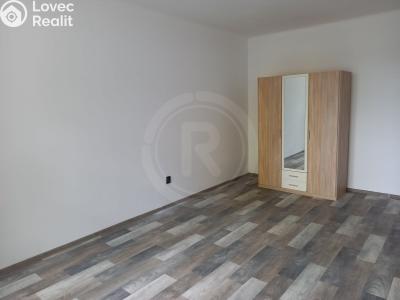 Pronájem bytu 1+1 České Budějovice, Dělnická č. 3