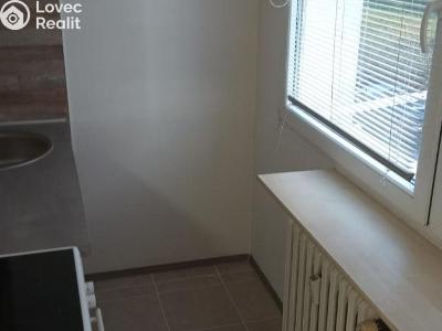 Pronájem bytu 1+KK Most, K. H. Borovského č. 1