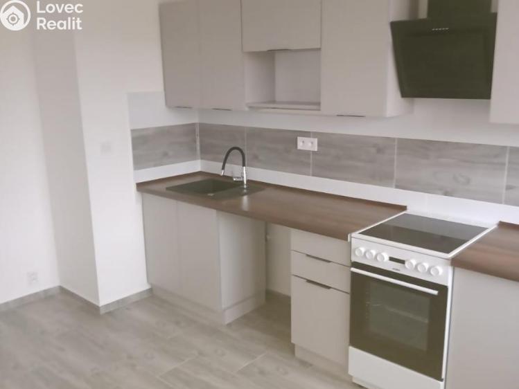 Pronájem bytu 3+1 Most, K. H. Borovského č. 13