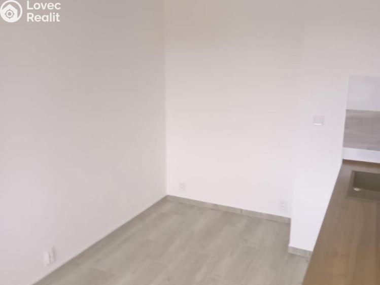 Pronájem bytu 3+1 Most, K. H. Borovského č. 3