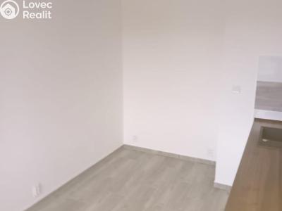 Pronájem bytu 3+1 Most, K. H. Borovského č. 3