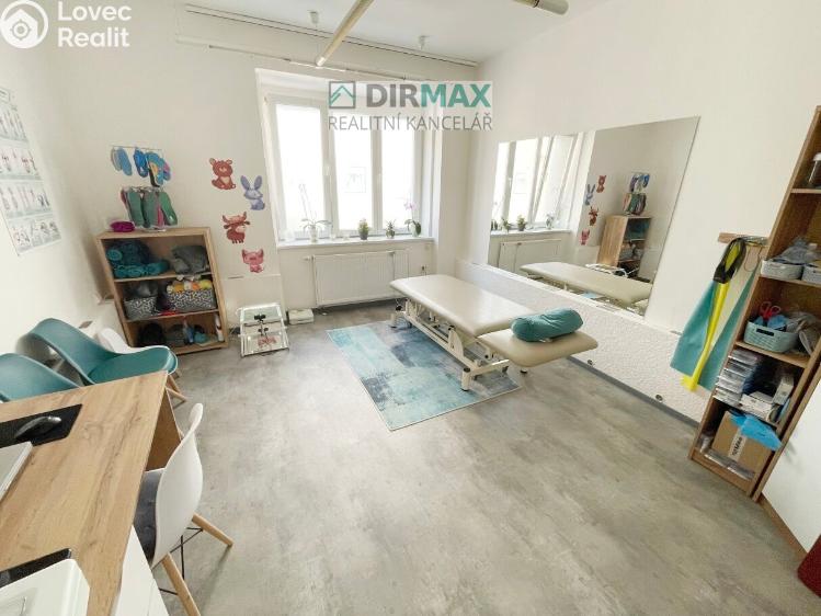 Pronájem kanceláře Plzeň, Pod Všemi svatými 432/22 č. 2