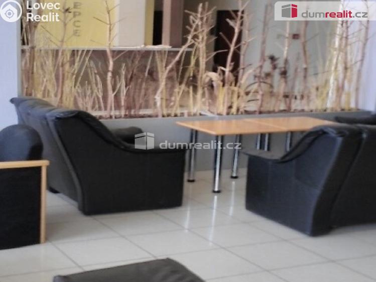 Pronájem bytu 1+KK Praha-Zbraslav, K výtopně č. 6