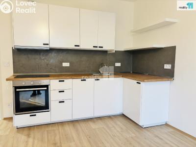 Pronájem bytu 3+KK Praha 3, Biskupcova č. 1