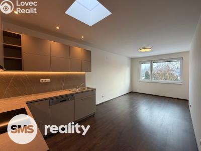 Оренда квартири 2+KK Hradec Králové, Věkošská č. 2