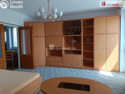 Pronájem bytu 1+KK Nymburk, Boženy Němcové č. 3