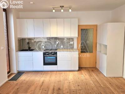 Pronájem bytu 3+KK Beroun, U Židovského hřbitova č. 3