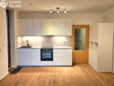 Pronájem bytu 3+KK Beroun, U Židovského hřbitova 1713 č. 3