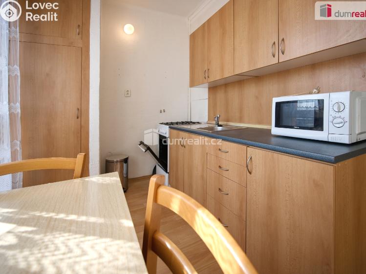 Pronájem bytu 1+1 Mělník, Pražská č. 3