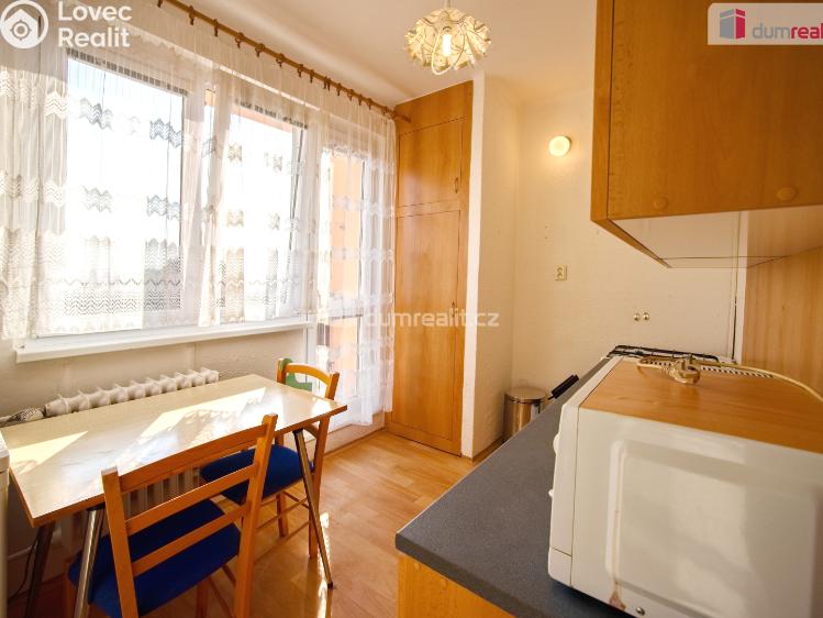 Pronájem bytu 1+1 Mělník, Pražská č. 4