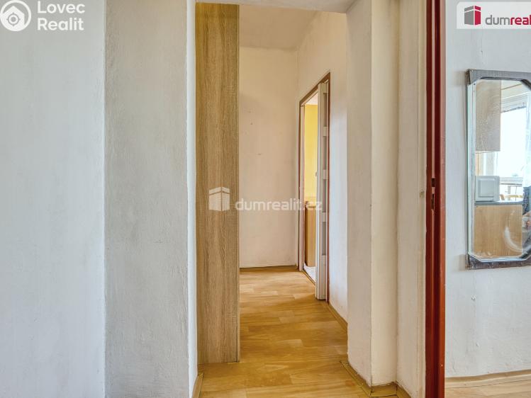 Pronájem bytu 1+1 Mělník, Pražská č. 13