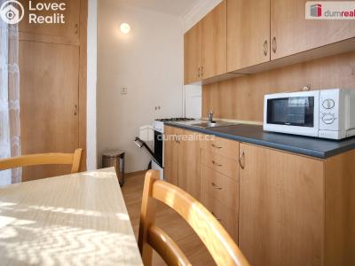 Pronájem bytu 1+1 Mělník, Pražská č. 3