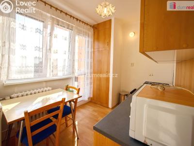 Pronájem bytu 1+1 Mělník, Pražská č. 4