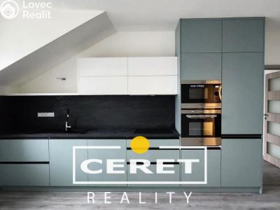 Оренда квартири 2+KK Žatec, Studentská č. 1