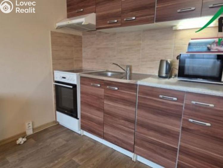 Pronájem bytu 1+KK Tachov, Bělojarská č. 3