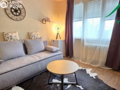 Pronájem bytu 1+KK Tachov, Bělojarská č. 1