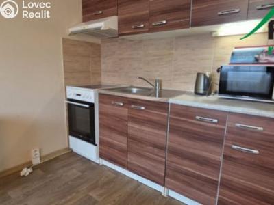 Pronájem bytu 1+KK Tachov, Bělojarská č. 3