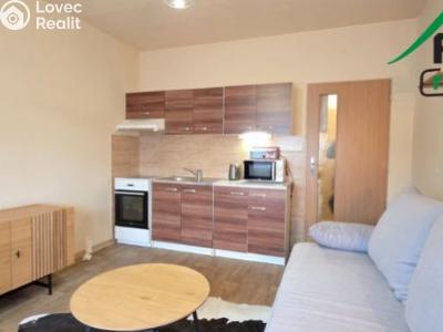 Pronájem bytu 1+KK Tachov, Bělojarská č. 4