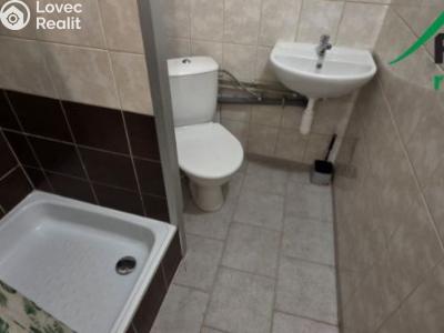 Pronájem bytu 1+KK Tachov, Bělojarská č. 5