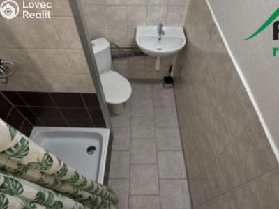 Pronájem bytu 1+KK Tachov, Bělojarská č. 6