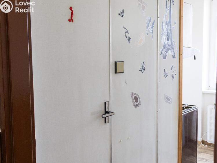 Pronájem bytu 2+1 České Budějovice, Větrná č. 10