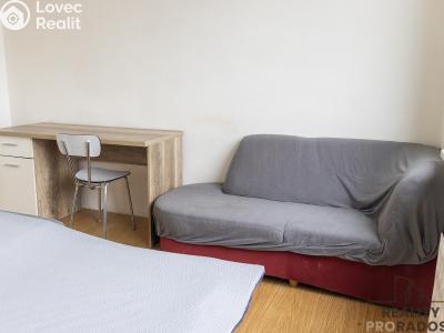 Pronájem bytu 2+1 České Budějovice, Větrná č. 6