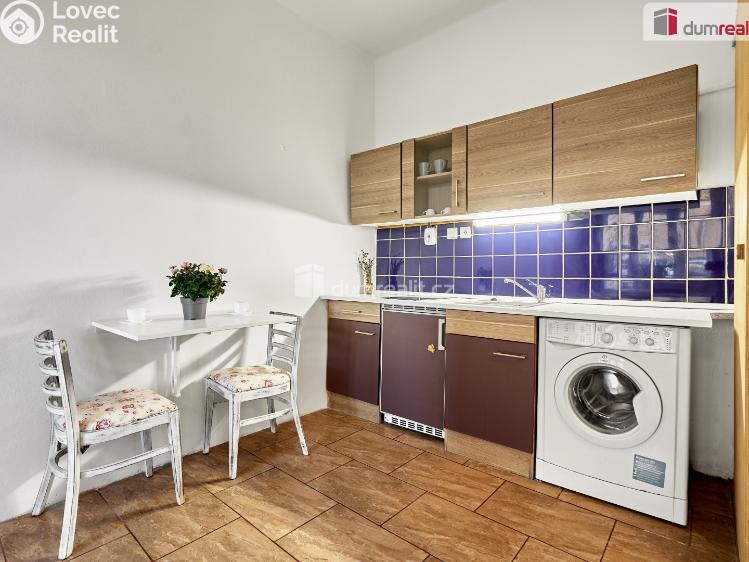 Pronájem bytu 1+KK Ústí nad Labem, Emy Destinové č. 3