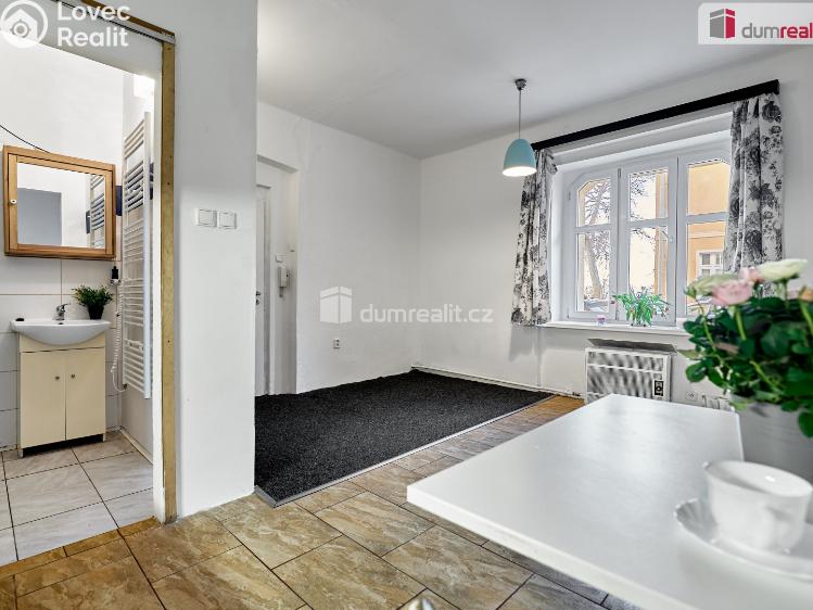 Pronájem bytu 1+KK Ústí nad Labem, Emy Destinové č. 8