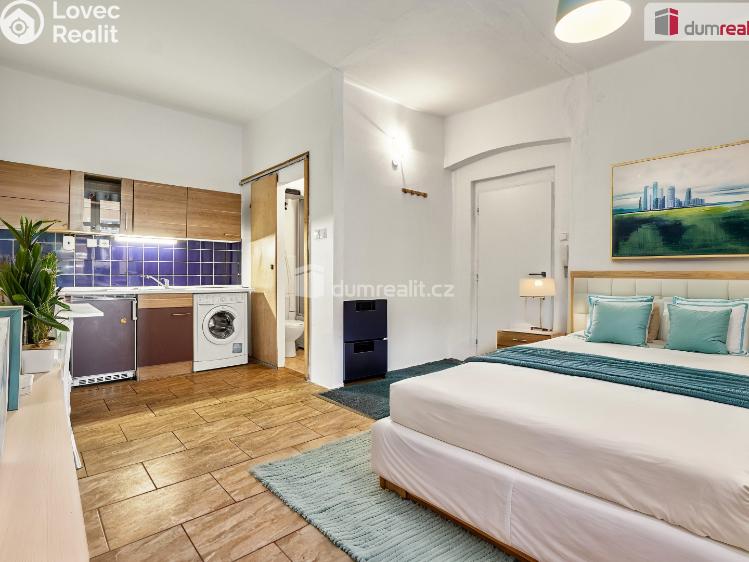 Pronájem bytu 1+KK Ústí nad Labem, Emy Destinové č. 12