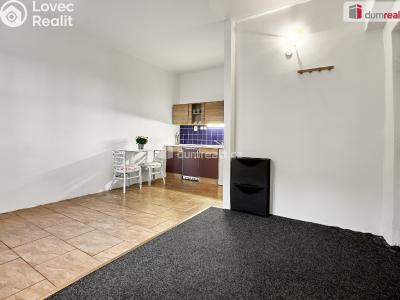 Pronájem bytu 1+KK Ústí nad Labem, Emy Destinové č. 6