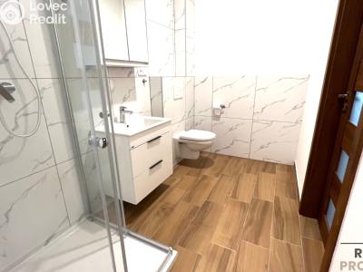 Аренда квартиры 2+KK Lažany č. 2