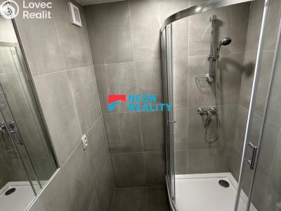 Pronájem bytu 3+1 Orlová, Masarykova třída č. 5