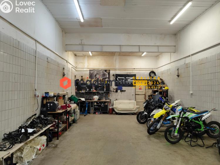 Pronájem výrobní haly Hodonín č. 4