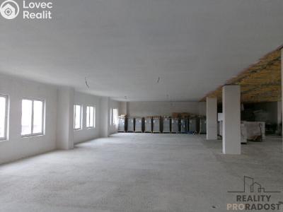 Pronájem výrobní haly Brno, Tovární č. 1